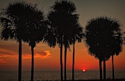 Sunset over the Gulf Photograph by Ronald Lutz Sunset over the Gulf Photograph by Ronald Lutz