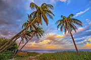 Sunset Surf Photograph by Mark Andrew Thomas Sunset Surf Photograph by Mark Andrew Thomas