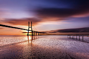 Sunshine Photograph by Jorge Maia