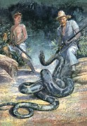 Swiss Family Robinson Painting by John Millar Watt Swiss Family Robinson Painting by John Millar Watt