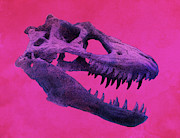 T-Rex Drawing by Eric Fan T-Rex Drawing by Eric Fan