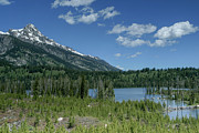 Taggart Lake Photograph by Ronnie And Frances Howard