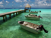 Tahitian Waters Photograph by Terri Brewster