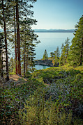 Tahoe Blues 19 Photograph by Ryan Weddle