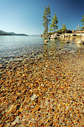 Tahoe Blues VI Photograph by Ryan Weddle