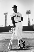 Ted Williams Photograph by Slim Aarons
