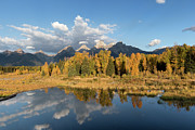 Teton glory Photograph by Ronnie And Frances Howard