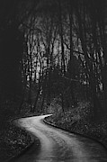 That Lonesome Road Photograph by Scott Norris