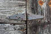 The Back Door Photograph by Bernd Laeschke