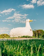 The Big Duck, In Flanders, Long Island, New York, Usa Photograph by 