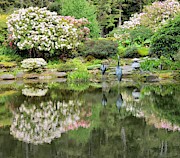 The Birds of Shore Acres Photograph by Suzy Piatt