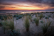 The Dunes In The Sunset Light Photograph by Hannes Cmarits