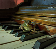The F Key Photograph by Jerry LoFaro