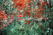 The Flames of Autumn Mixed Media by Susan Maxwell Schmidt