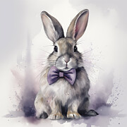 The Grey Bunny Photograph by 