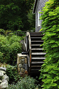 The Gristmill Photograph by Terri Brewster