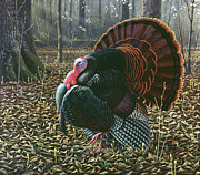 The King Of Spring - Wild Turkey Painting by Wilhelm Goebel