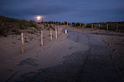 The Moon Lights My Way Photograph by Hannes Cmarits