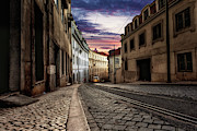 The one Photograph by Jorge Maia