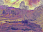 The  Pond  At  Twilight Photograph by Viva Anderson