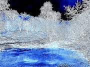 The  Pond in  Winter.    Photograph by Viva Anderson