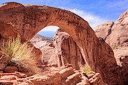 The Rainbow Bridge Optional Hike Photograph by Debra Martz The Rainbow Bridge Optional Hike Photograph by Debra Martz