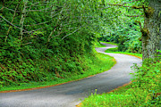 The road less travelled Photograph by Leslie Struxness