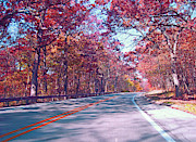 The Road To Fall Photograph by Kelly Council