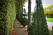 The Royale Alley Photograph by Portia Olaughlin