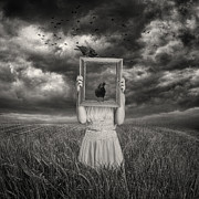 The Scarecrow Photograph by Baden Bowen