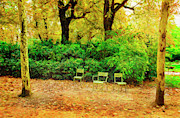 Three Chairs of Luxenburg Gardens Photograph by Craig J Satterlee