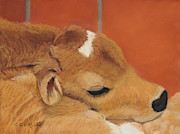 Three Hours Old Pastel by Carol Corliss