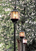 Three lanterns aglow Photograph by Janice Drew