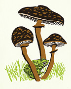Three Mushrooms and a Frog Drawing by CSA Images