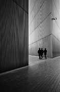 Three Musketeers Photograph by Ursula Rodgers