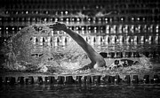 Through The Light Photograph by Angela Muliani Hartojo