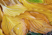 Time to Rest Photograph by Marilyn Cornwell Time to Rest Photograph by Marilyn Cornwell