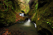 Tire Creek Canyon Photograph by Andrew Kumler