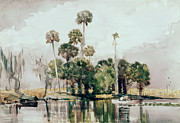 Title Unknown (exotic Island) By Homer Painting by Artist - Winslow Homer