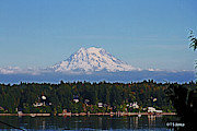 Mt. Rainier From Olympia Washington Digital Art by Tom Janca