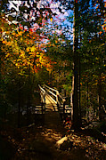 Trail Bridge Photograph by Amanda Jones