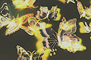 Tropical glow Photograph by Jorgo Photography