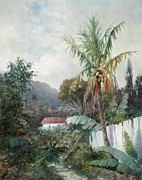 Tropical Landscape Painting by William H. Hillard Tropical Landscape Painting by William H. Hillard