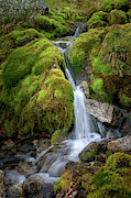 Tufteelvi, Norway Photograph by Andreas Levi Tufteelvi, Norway Photograph by Andreas Levi