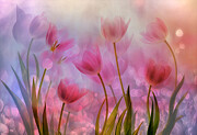 Tulips Time! Photograph by Hilda Van Der Lee
