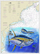 Tuna Chart Painting by Mark Ray