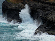 Turquoise Explosion Photograph by Donna Blackhall