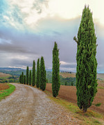 Tuscan Country Road Photograph by Lev Kaytsner