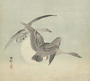 Two Geese In Flight Painting by Ohara Koson Two Geese In Flight Painting by Ohara Koson