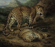 Two Leopards Painting by William Huggins